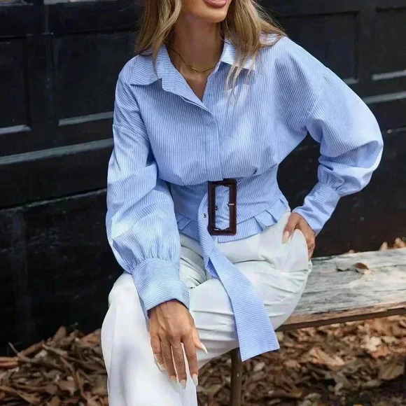 Multicolor Elegant Women's Pleated Waist Slimming Puff Sleeve Striped Blouse - Picture 5 of 6